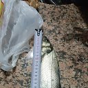 ���� Recep, �����������, 50 ��� - ��������� 6 ������� 2026 � ������ ���� ����������