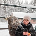 ���� �����, ��������, 52 ���� - ��������� 11 ����� 2026