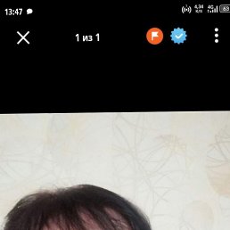 ���� ���, ������ �����, 49 ��� - ��������� 27 ������ 2026