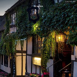 Cat, ����, 37 ���