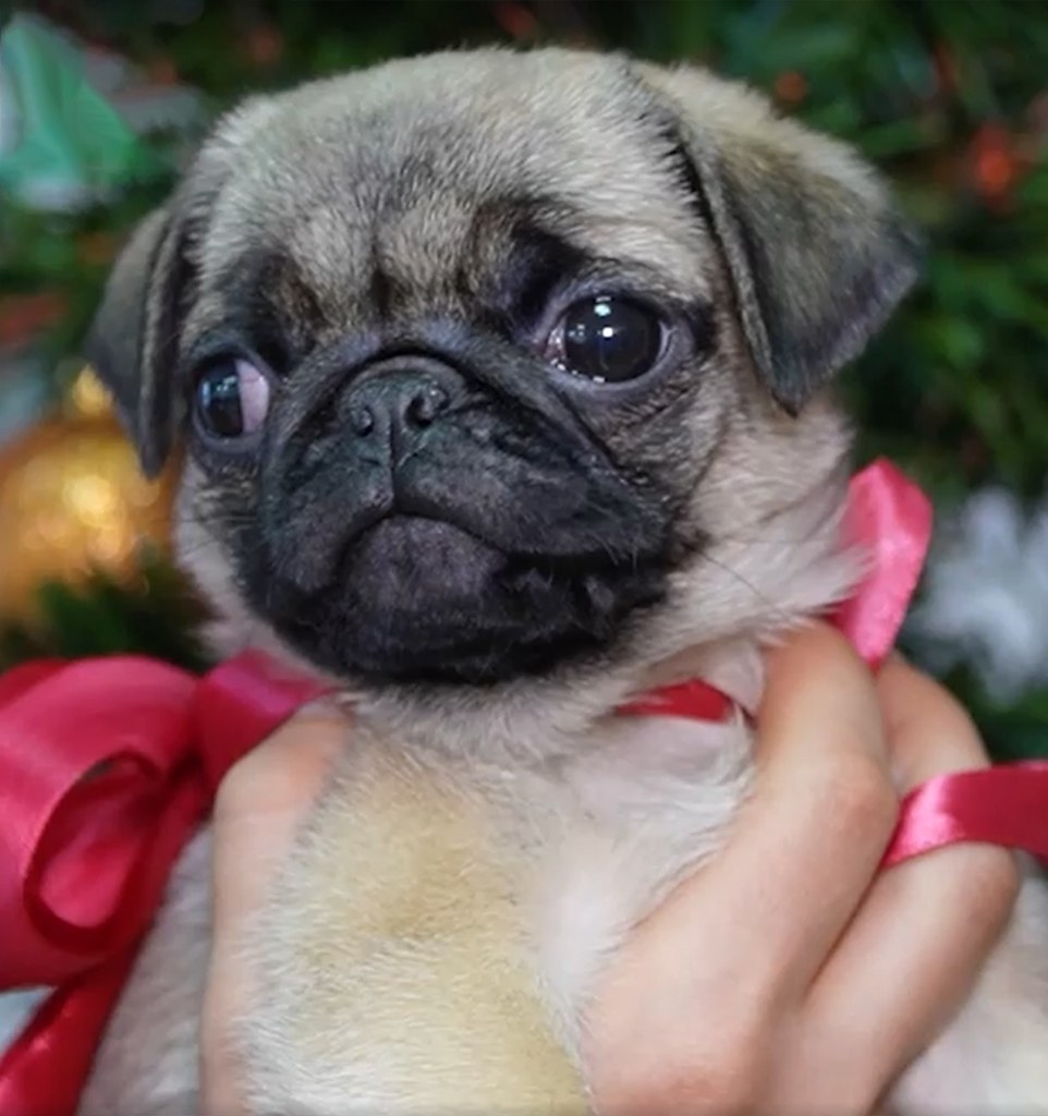 ����� ���������, �������� ���� ��������� ������ �� ������ �������� ������ ������. 11-������ ���� �� ... - 3