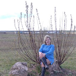 ���� �������, ������, 58 ��� - ��������� 8 ������� 2024
