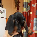 ���� �������, ������� - ��������� 6 ������ 2025 � ������ ������, ������-����!!!�