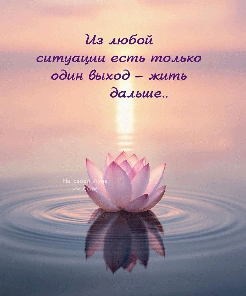 ������������� ���� - 9 ����� 2026 � 23:15