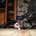 ���� ��������, �����-���������, 48 ��� - ��������� 27 ������ 2025 � ������ ���� ������ ����