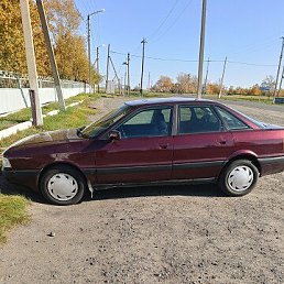 ���� �����, ��������, 58 ��� - ��������� 18 ����� 2026