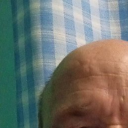 ������, ������, 55 ���