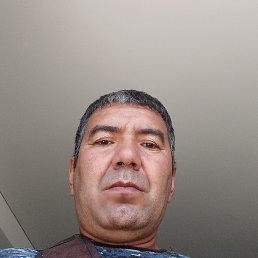  Jemis, , 43  -  4  2024