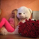 ���� �������, �����������, 23 ���� - ��������� 8 ����� 2026 � ������ ���� ����������