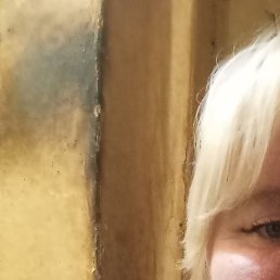 �����, ������-��-����, 49 ���