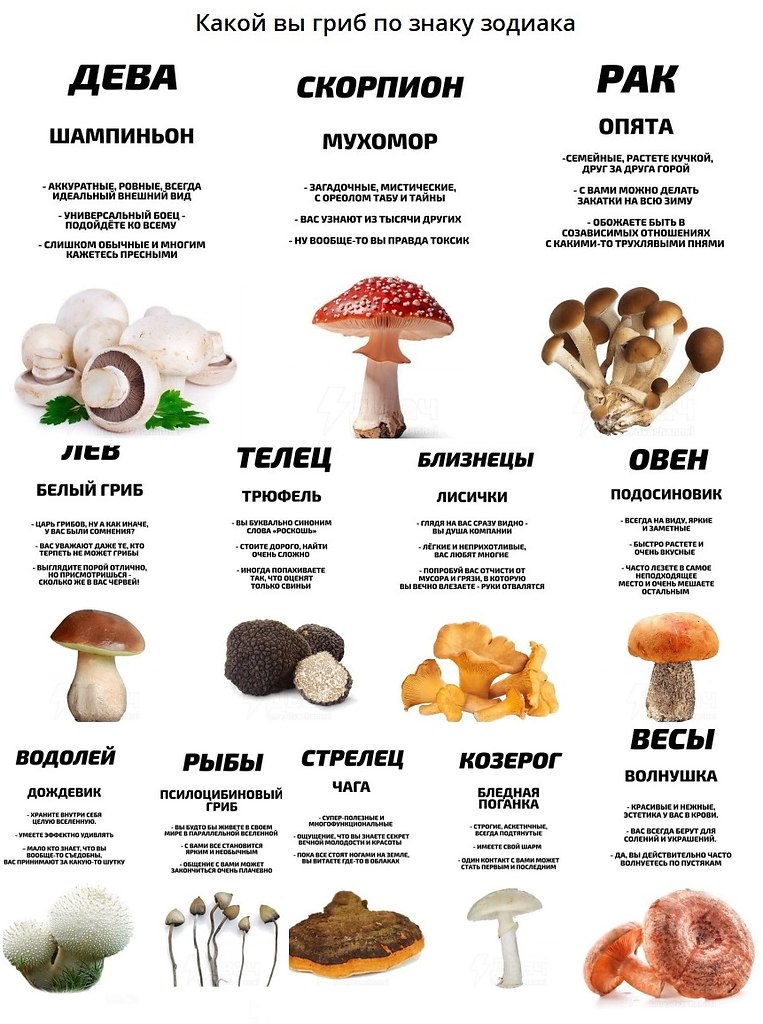 ��� ���� - 31 ������� 2025 � 20:06