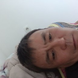 ����, ������, 37 ���