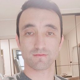 ������, ������, 33 ����