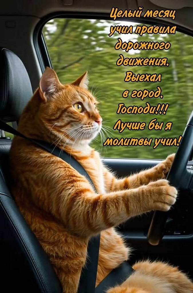 ���� �� ���������(������) - 14 ������ 2026 � 07:33