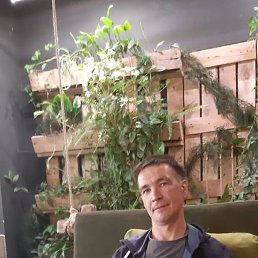  , 43, 