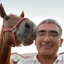 ���� Chingiz, ������������ - ��������� 9 �������� 2024 � ������ ���� ����������