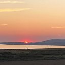 ���� ��������, ������, 50 ��� - ��������� 28 ������ 2023 � ������ ���� ����������