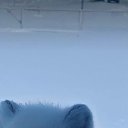 ���� ���, ��������, 35 ��� - ��������� 9 ������� 2025 � ������ ���� ����������