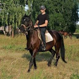 , 27 , 