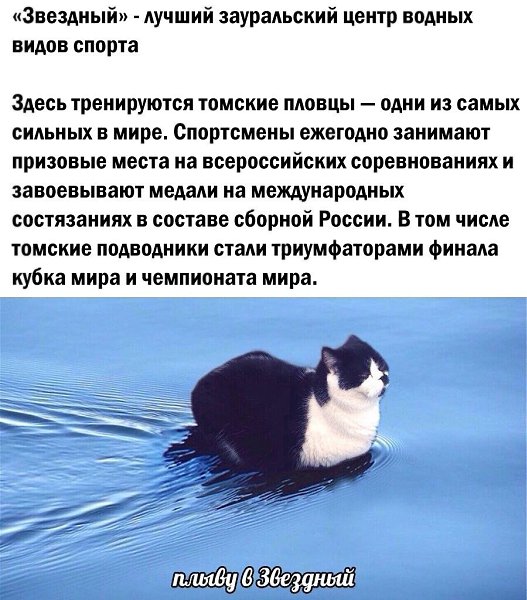    - 24  2024  23:16