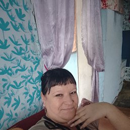 ���� ����, �����������, 40 ��� - ��������� 2 ������� 2026