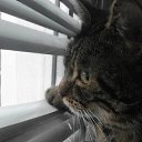 ���� �������, ����������� - ��������� 12 ������ 2025 � ������ ������ ��������