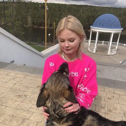 ���� �����, ������-��-����, 20 ��� - ��������� 26 ���� 2026