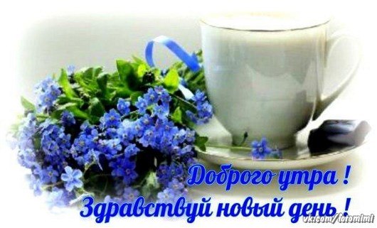 Майским утром пожелаю Доброты и красоты! ... С добрым майским утром! Пусть этот май подарит сказку и ...