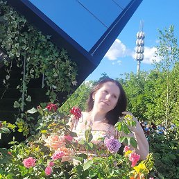 ����, ������