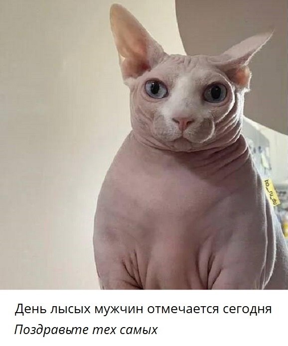 ��� ���� - 2 ���� 2026 � 16:03