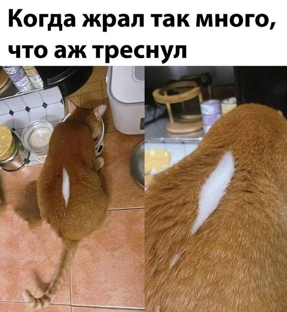 ��� ���� - 10 ����� 2026 � 14:22