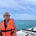 ���� �����, ������������, 56 ��� - ��������� 3 �������� 2025