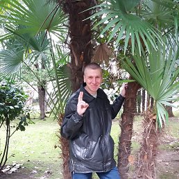 ���� �����, ��������, 44 ���� - ��������� 5 ������� 2023