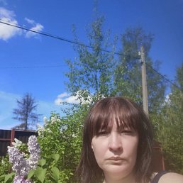 ����, 45 ���, �����-���������