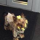 ���� ������, ������� - ��������� 22 ������� 2025 � ������ ���� ����������