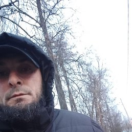 �������, �������, 33 ����