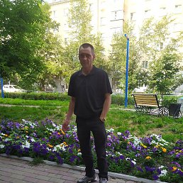 ������ ����������, �����������, 41 ���