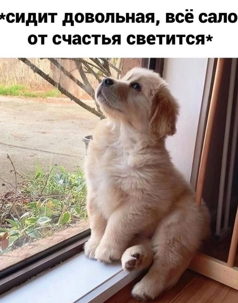 ������, ������ �����) - 3