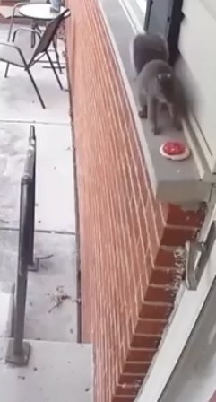 ����������, ������� �� ���������! ������� ����� �������, � �������� ����� ���������� ���� ������ ... - 2