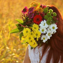 �������, ������, 53 ����