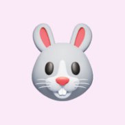 �����, 19 ���, ��������