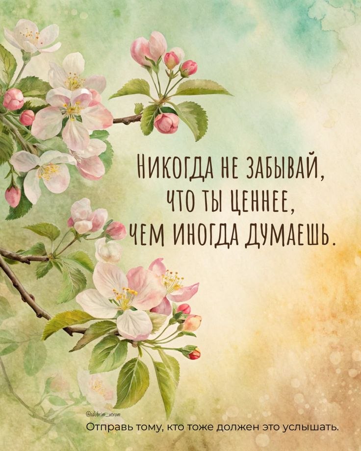 Всё будет хорошо! - 1 июня 2025 в 16:24