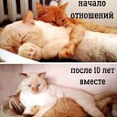 ���� �����, ������ ����� - ��������� 1 ��� 2026 � ������ ������ ��������