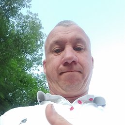 , 40, 