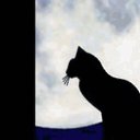 ���� ��������, ������, 38 ��� - ��������� 8 ���� 2025 � ������ ���� ����������