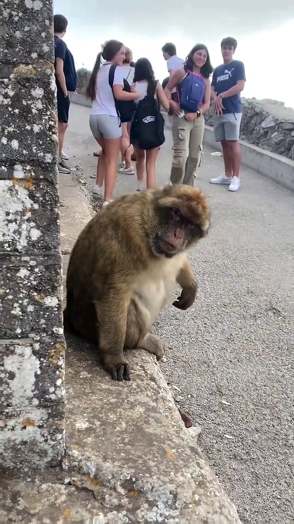 �������� ����� ������ �� ��������� �� ���������� ����) - 2