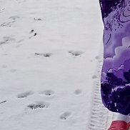 , 35 ,  