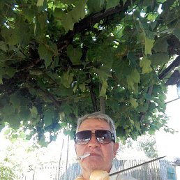 ���� ����, �����, 58 ��� - ��������� 24 ������� 2023