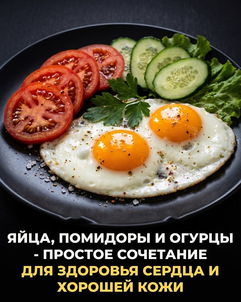 ���������� ���������� ������� ����� �� ������ ���� ������� ���������. ����� �������� ������ ... - 4