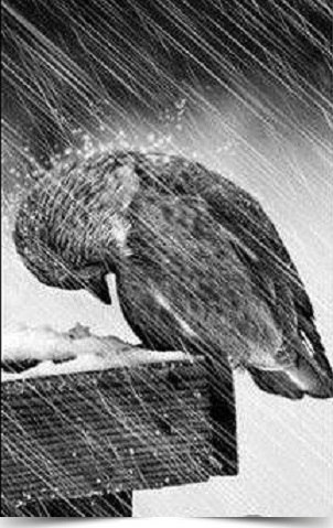 �����, ��� ������, �� �� �����, ��� ����... �.�~~�~~�~~�~~�~~�~~�~~�~~�